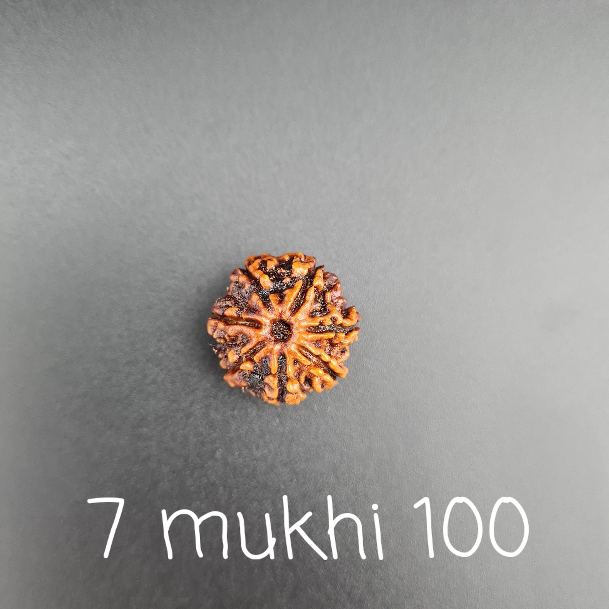 NINETEEN (19) MUKHI RUDRAKSHA BENEFITS, PRICE AND ITS USES